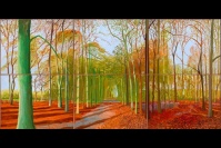 大卫·霍克尼西班牙首展,David Hockney