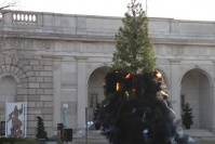蔡国强华盛顿制造黑色圣诞树,蔡国强