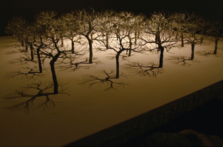 2012年“CAFAM未来展”展出杨心广作品《底下有些石头》
2012年“CAFAM未来展”展出杨心广作品《底下有些石头》