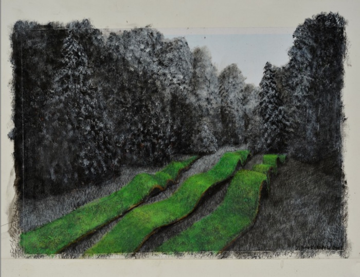 袁泽强《地毯》纸本丙烯 38cmx53cm 2013
袁泽强《地毯》纸本丙烯 38cmx53cm 2013