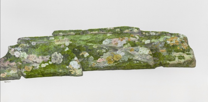 吴笛笛 《世界》 240x120cm 布面油画 2013
吴笛笛 《世界》 240x120cm 布面油画 2013