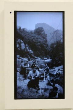 雷本本作品《林滤》
雷本本作品《林滤》