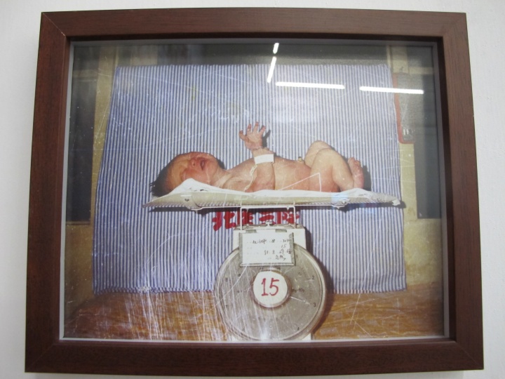 苏文每次都会选择这张照片作为展览开端
苏文每次都会选择这张照片作为展览开端