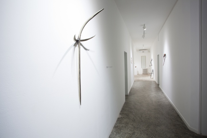 张明放数年一直关注伊藤一洋，2013年年末举行他的小型个展

