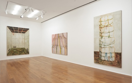 张恩利伦敦Hauser & Wirth个展“the box 张恩利伦敦Hauser & Wirth个展“the box