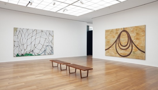 张恩利伦敦Hauser & Wirth个展“the box 张恩利伦敦Hauser & Wirth个展“the box