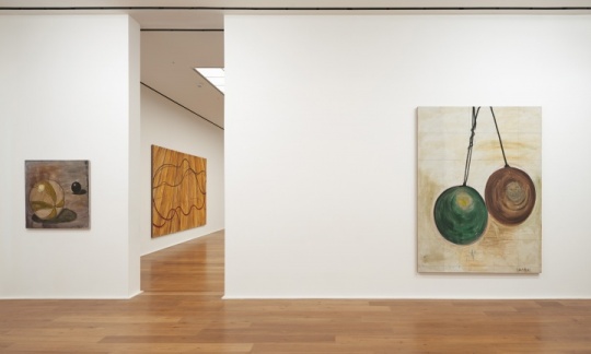 张恩利伦敦Hauser & Wirth个展“the box 张恩利伦敦Hauser & Wirth个展“the box