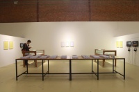 卢迎华 以“新作展”反思当代艺术的观看逻辑