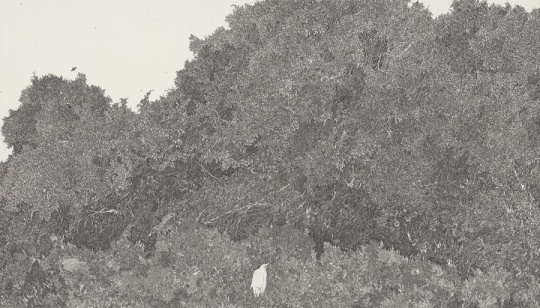 周范,思乡病 , 纸上作品,74 X 42 cm, 2013
周范,思乡病 , 纸上作品,74 X 42 cm, 2013