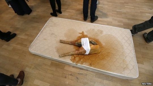 Whitechapel画廊的展览中，作品I Might Be Shy But I'm Still A Pig   图片来源：http://www.bbc.com