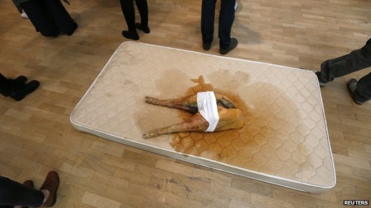 Whitechapel画廊的展览中,作品I Might Be Shy But I'm Still A Pig 图片来源:http://www.bbc.com Whitechapel画廊的展览中,作品I Might Be Shy But I'm Still A Pig 图片来源:http://www.bbc.com