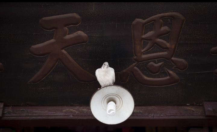 张小迪2013关注未来艺术英才奖获奖作品《风入松》 张小迪2013关注未来艺术英才奖获奖作品《风入松》