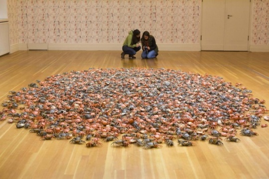 作品《河蟹》（Photo：Markus Schreiber）<br>