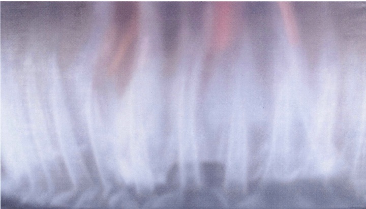 谢南星 385 x 220 cm 《无题之一 》布面油画 1998
谢南星 385 x 220 cm 《无题之一 》布面油画 1998