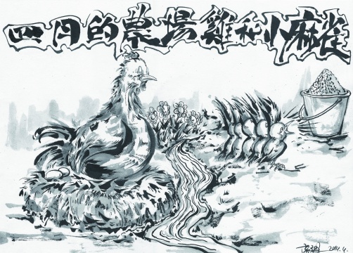 四月的农场鸡和小麻雀 四月的农场鸡和小麻雀