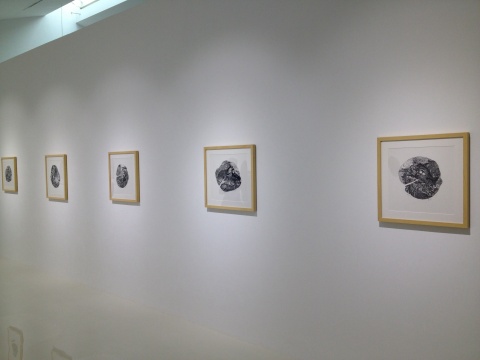 顾秀华的版画作品“自然”系列
顾秀华的版画作品“自然”系列