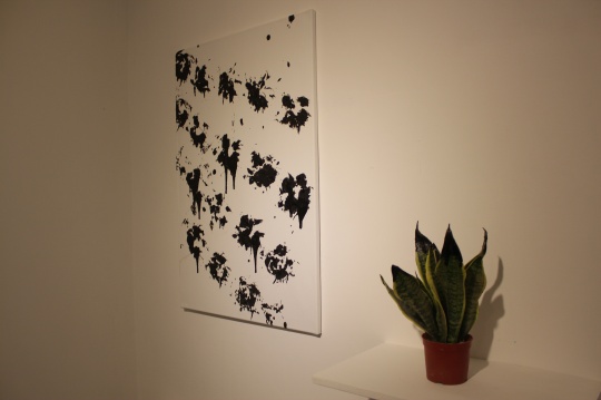 绿植与在叶子上蘸着沥青创作的作品
绿植与在叶子上蘸着沥青创作的作品
