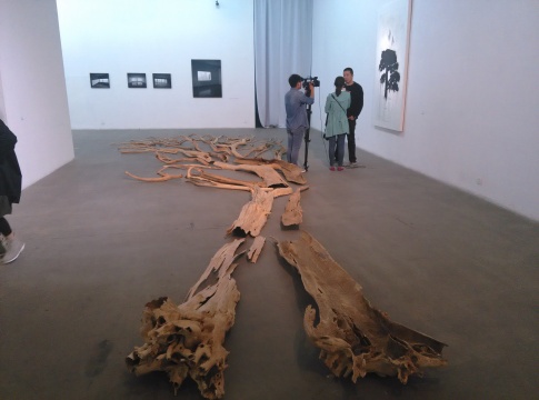 《三棵树之二》，史金淞，装置，1360×1200cm，2007
