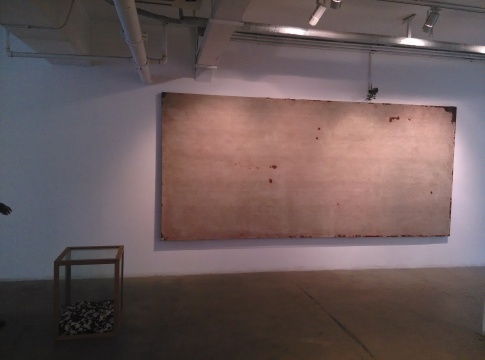 《图像的构造》，李钢，装置，420X200cm，2012
