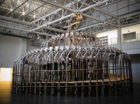 黄永砯《蛇塔》,因故不能进入搭建的蛇体内部的走道
黄永砯《蛇塔》,因故不能进入搭建的蛇体内部的走道