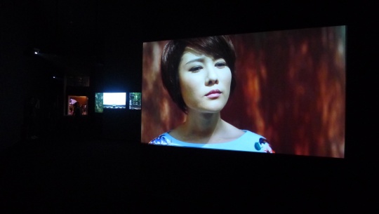 杨福东 《佚名 · 浅颜色》14-16 屏影像装置| 彩色 8-10 分钟 2014
杨福东 《佚名 · 浅颜色》14-16 屏影像装置| 彩色 8-10 分钟 2014