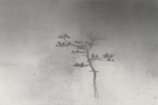 《影之七》,45x68cm,纸本水墨,2014
《影之七》,45x68cm,纸本水墨,2014