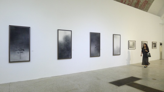 展览现场,孤树的作品陈列在一面墙上
展览现场,孤树的作品陈列在一面墙上