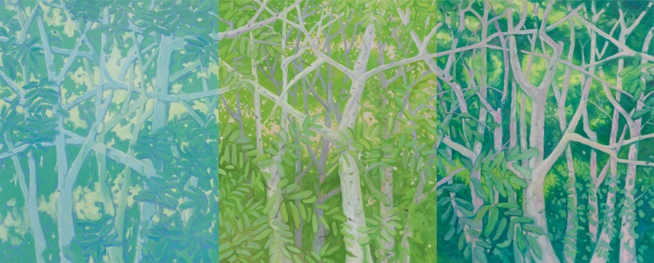  《白树林》，布面油画，230X190 cm X3，2013
