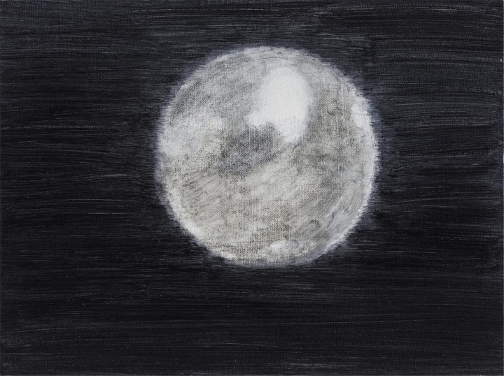 《珠宝2》45x60cm 布面油画 2014
《珠宝2》45x60cm 布面油画 2014