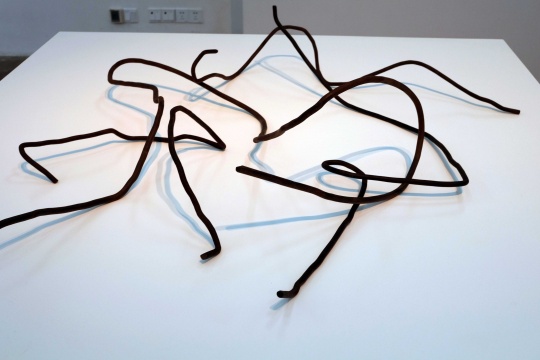 郭工展出《钢筋肖像》系列 红木 尺寸不一 2013
郭工展出《钢筋肖像》系列 红木 尺寸不一 2013