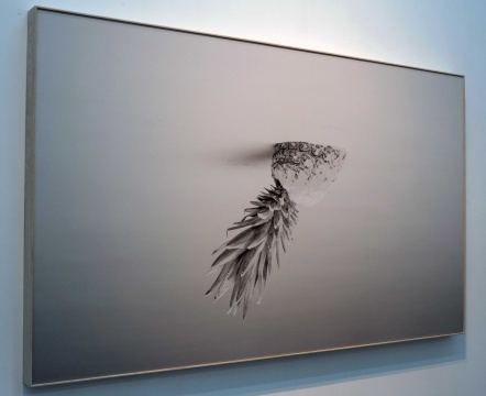 计洲 《景3》150x250cm 艺术微喷 2013
计洲 《景3》150x250cm 艺术微喷 2013