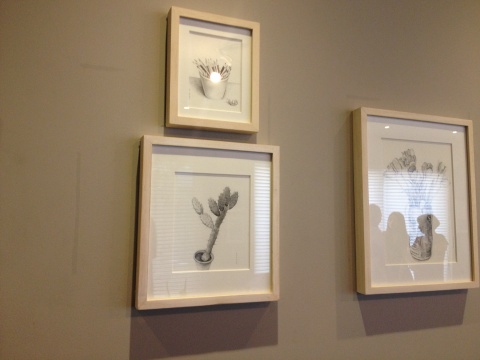 艺术家魏阳阳的一组针管笔创作的作品，心无旁骛的专注于一棵植物的千丝万缕的那位就是她