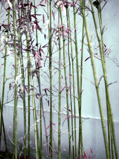 《韩磊: 2011-2014》, 摄影 C print, 120X90cm 《韩磊: 2011-2014》, 摄影 C print, 120X90cm