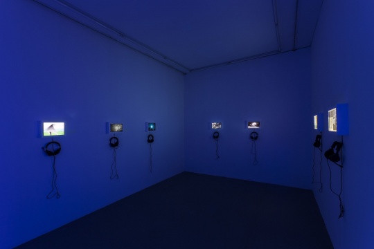 展览作品现场图
展览作品现场图