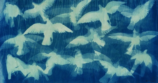 《K6.飞翔的鸽子》94.7X176.7cm 宣纸蓝晒 2013
《K6.飞翔的鸽子》94.7X176.7cm 宣纸蓝晒 2013