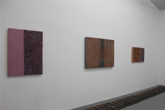 鞠婷的作品,凝固时间,解剖时间
鞠婷的作品,凝固时间,解剖时间