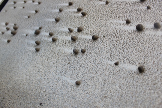 作品细节，静止的沙与流动的陶粒构成画面

