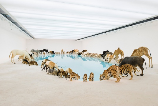 作品《遗产》Photo: Brad Wagner
作品《遗产》Photo: Brad Wagner