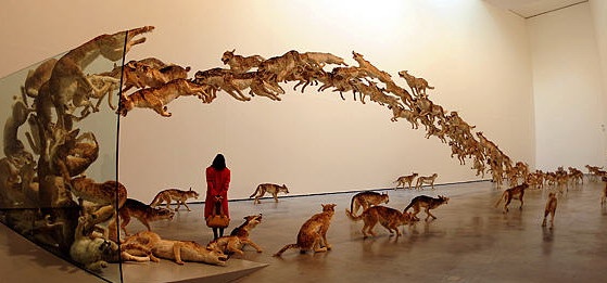 2006年,亮相德国古根汉美术馆的“撞墙”:99匹仿真狼撞向一面玻璃墙的场面
2006年,亮相德国古根汉美术馆的“撞墙”:99匹仿真狼撞向一面玻璃墙的场面