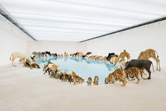 2013年在澳大利亚布里斯班现代美术馆开幕的大型个展“归去来兮”,作品被美国《时代周刊》誉为“当代的方舟”
2013年在澳大利亚布里斯班现代美术馆开幕的大型个展“归去来兮”,作品被美国《时代周刊》誉为“当代的方舟”