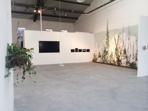 分泌场展示空间
分泌场展示空间
