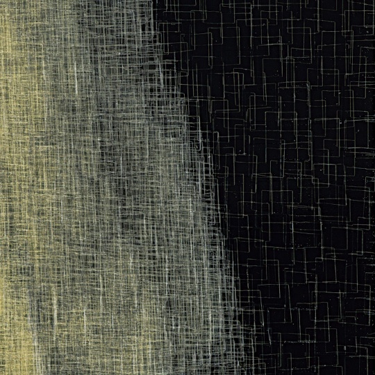 《它9》细节,透明胶带,黑色亚克力板,2010
《它9》细节,透明胶带,黑色亚克力板,2010