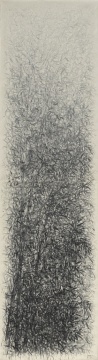方少华《无谱之竹-啸天》360cm×100cm 2012
方少华《无谱之竹-啸天》360cm×100cm 2012