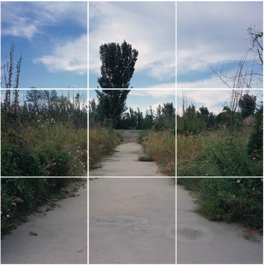 《每平米2A》100x100cmx9件 照片 2011
《每平米2A》100x100cmx9件 照片 2011