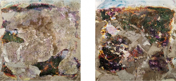 《每平米·清洗·我的风景6（1-5）》100x100x4cm 照片、水、石膏板、花籽、胶、铝塑板 2010-2014
