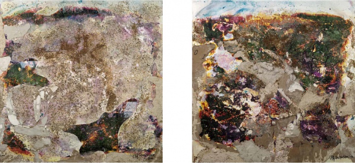 《每平米·清洗·我的风景6(1-5)》100x100x4cm 照片、水、石膏板、花籽、胶、铝塑板 2010-2014
《每平米·清洗·我的风景6(1-5)》100x100x4cm 照片、水、石膏板、花籽、胶、铝塑板 2010-2014