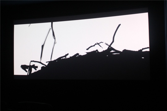 杨国辛创作于2013-2014年的视频《无喻》，在影像馆的“小影院”循环放映。