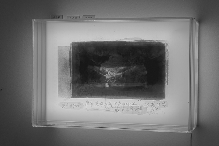 《合谋关系》 33X13X24cm 灯箱装置 2014
《合谋关系》 33X13X24cm 灯箱装置 2014