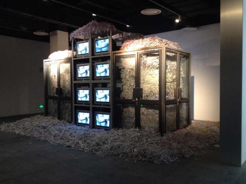 魏光庆装置作品《真相》
魏光庆装置作品《真相》