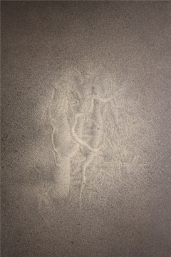 画面局部
画面局部